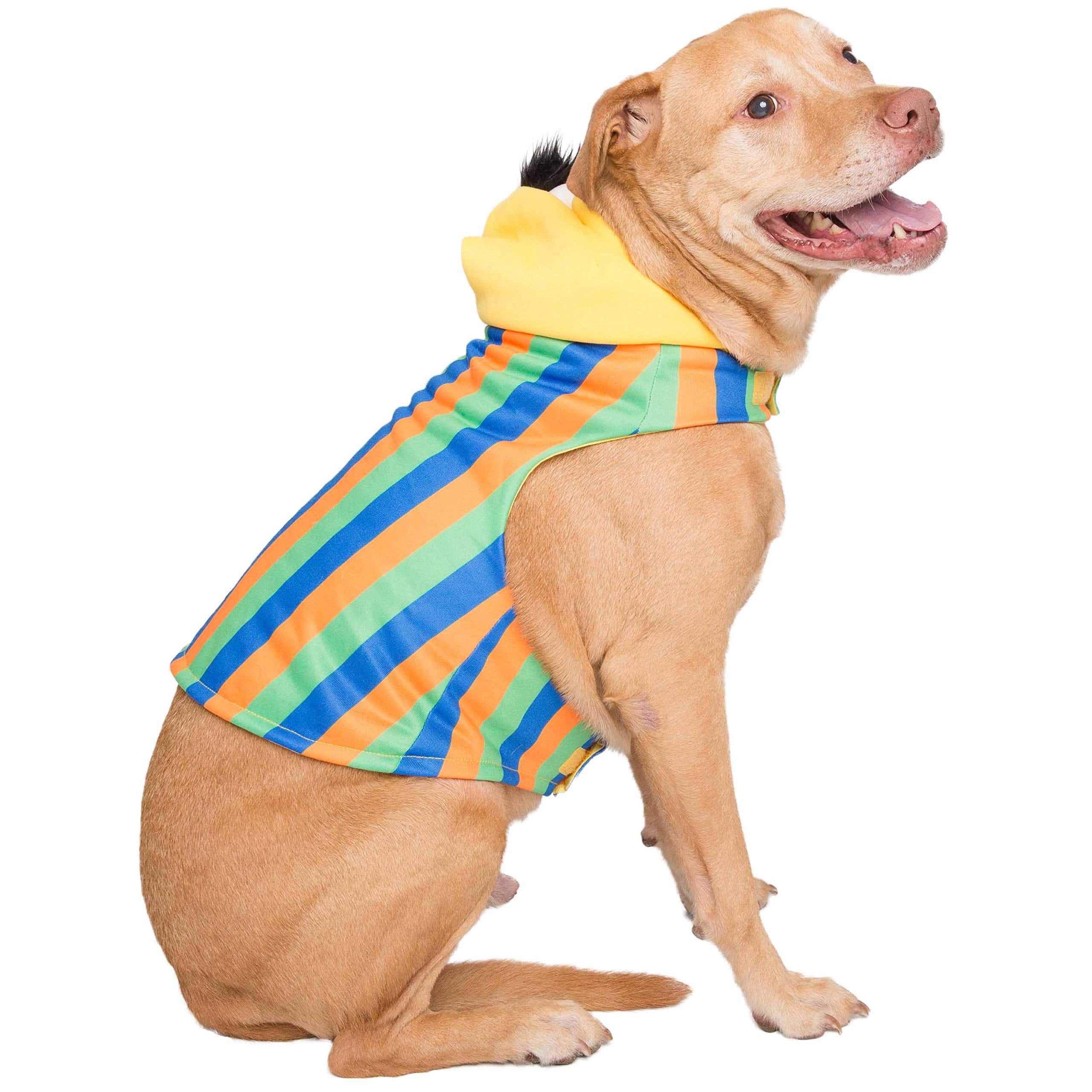 Pet Krewe Bert Costume - Sesame Street Bert Dog Costume - Fits Small, Medium, Large and Extra Large Pets - Perfect for Halloween, Christmas Holiday, Parties, Photoshoots, Gifts for Dog Lovers  - Like New