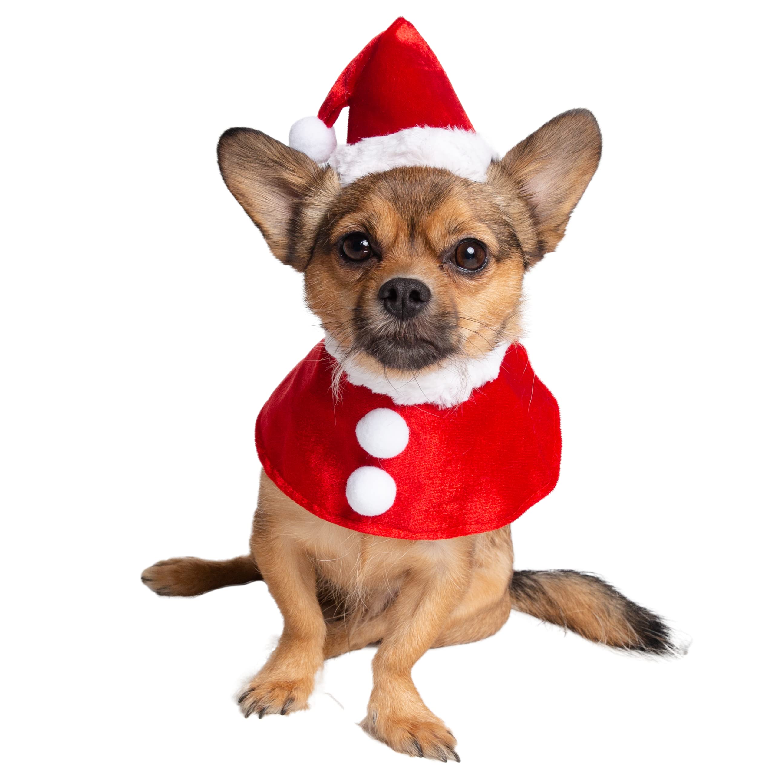 Pet Krewe Christmas Santa Dog Costume - Large Hat and Collar Set for Xmas Holiday Fun! - Perfect for Halloween, Parties, Photoshoots, Gifts for Dog Lovers  - Like New