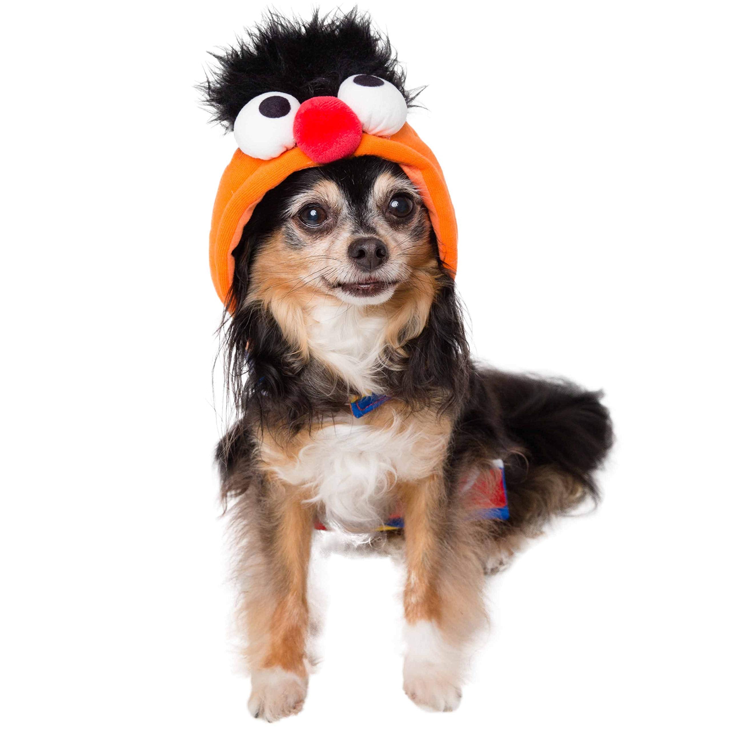 Pet Krewe Ernie Costume - Sesame Street Ernie Dog Costume - Fits Small, Medium, Large and Extra Large Pets - Perfect for Halloween, Christmas Holiday, Parties, Photoshoots, Gifts for Dog Lovers  - Like New