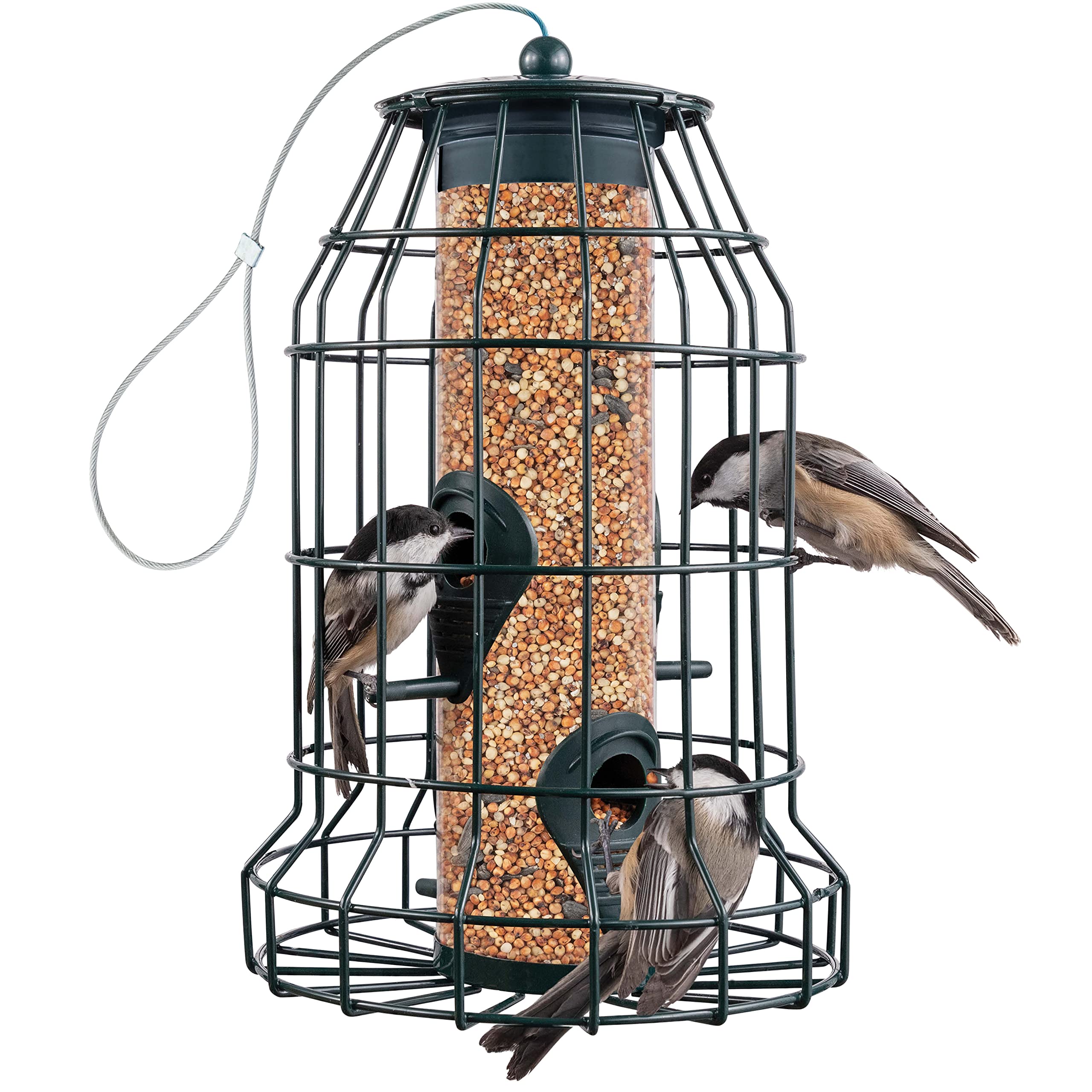 Squirrel Resistant Bird Feeders 22 oz. Large Bird Feeder with 4 Perches For Small Backyard Birds ONLY. Bird Feeder Squirrel Proof / Chew Proof / Rustproof. Fill with Wild Bird Seed for Outside Feeders  - Like New