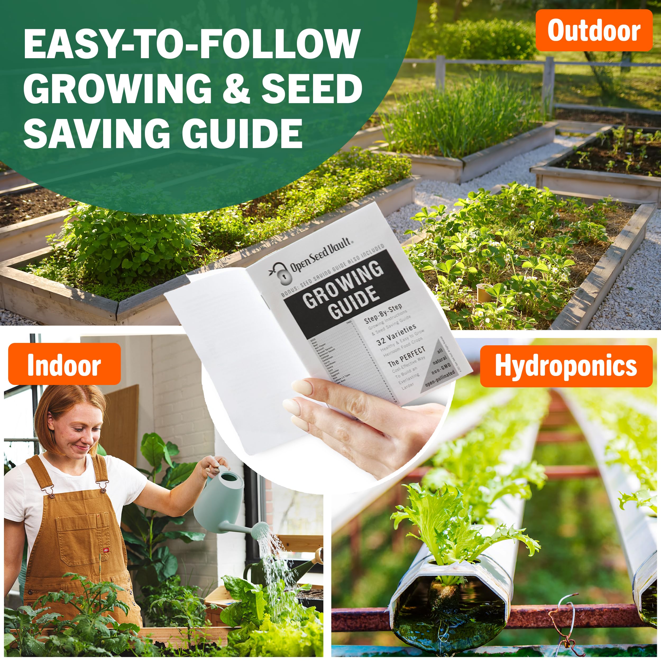 cost of seeds for vegetable garden Open Seed Vault 15,000 Non GMO Heirloom Vegetable Seeds Survival Garden 32 Variety Pack