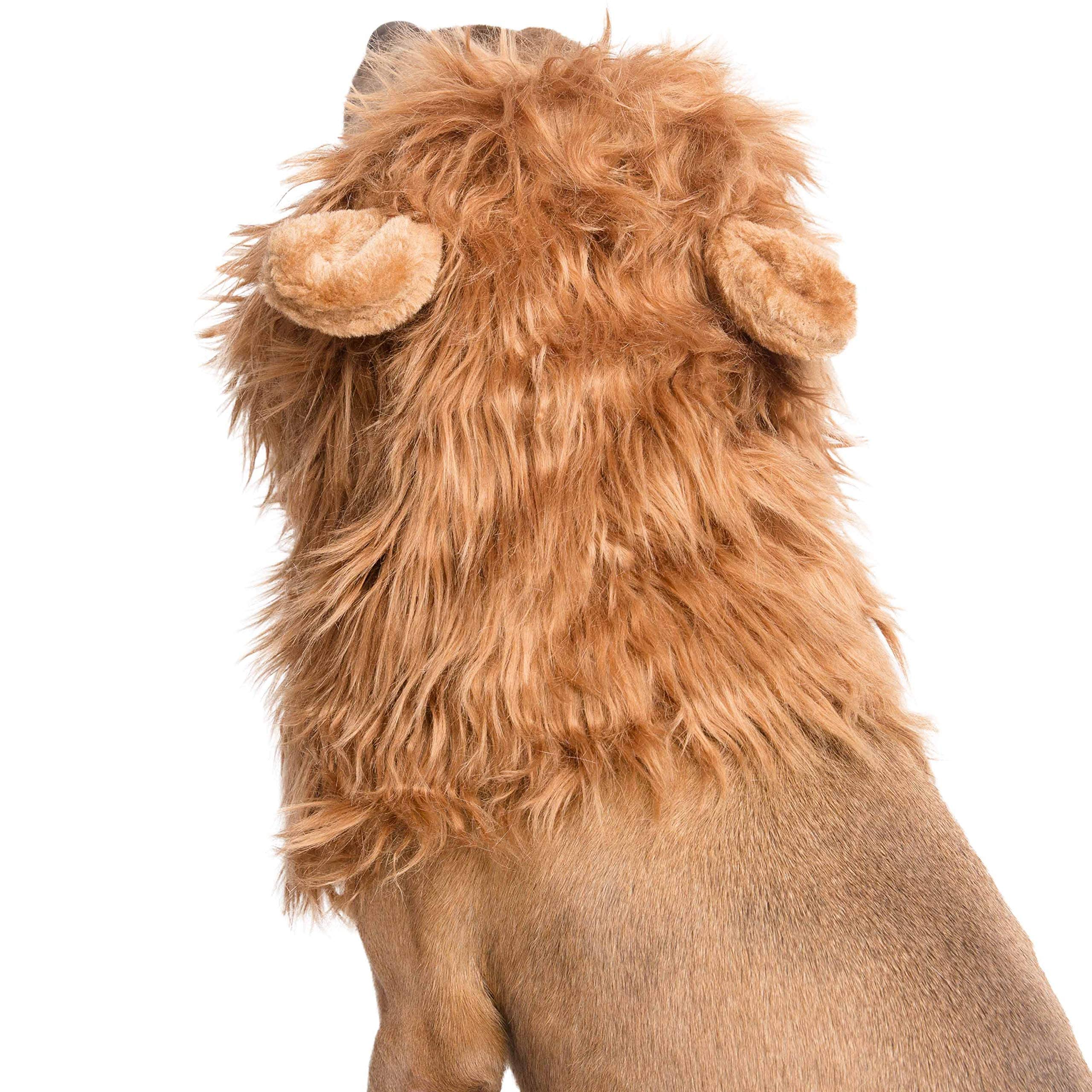 Pet Krewe Large Dog Lion Mane Halloween Costume � Fits Neck Size 13�- 32�- Lion Mane for Small Dogs � Ideal for Halloween, Dog Birthday, Dog Cosplay, Dog Outfits, Pet Clothes