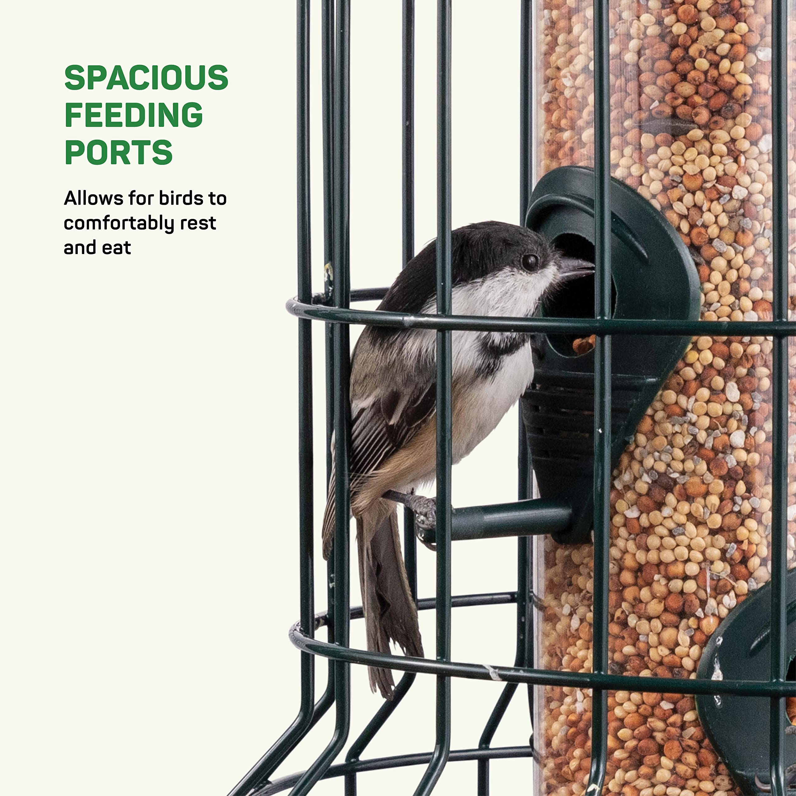 Squirrel Resistant Bird Feeders 22 oz. Bird Feeder with 4 Perches for Small Backyard Birds ONLY. Bird Feeder Squirrel Proof/Chew Proof/Rustproof. Fill with Wild Bird Seed for Outside Feeders  - Acceptable