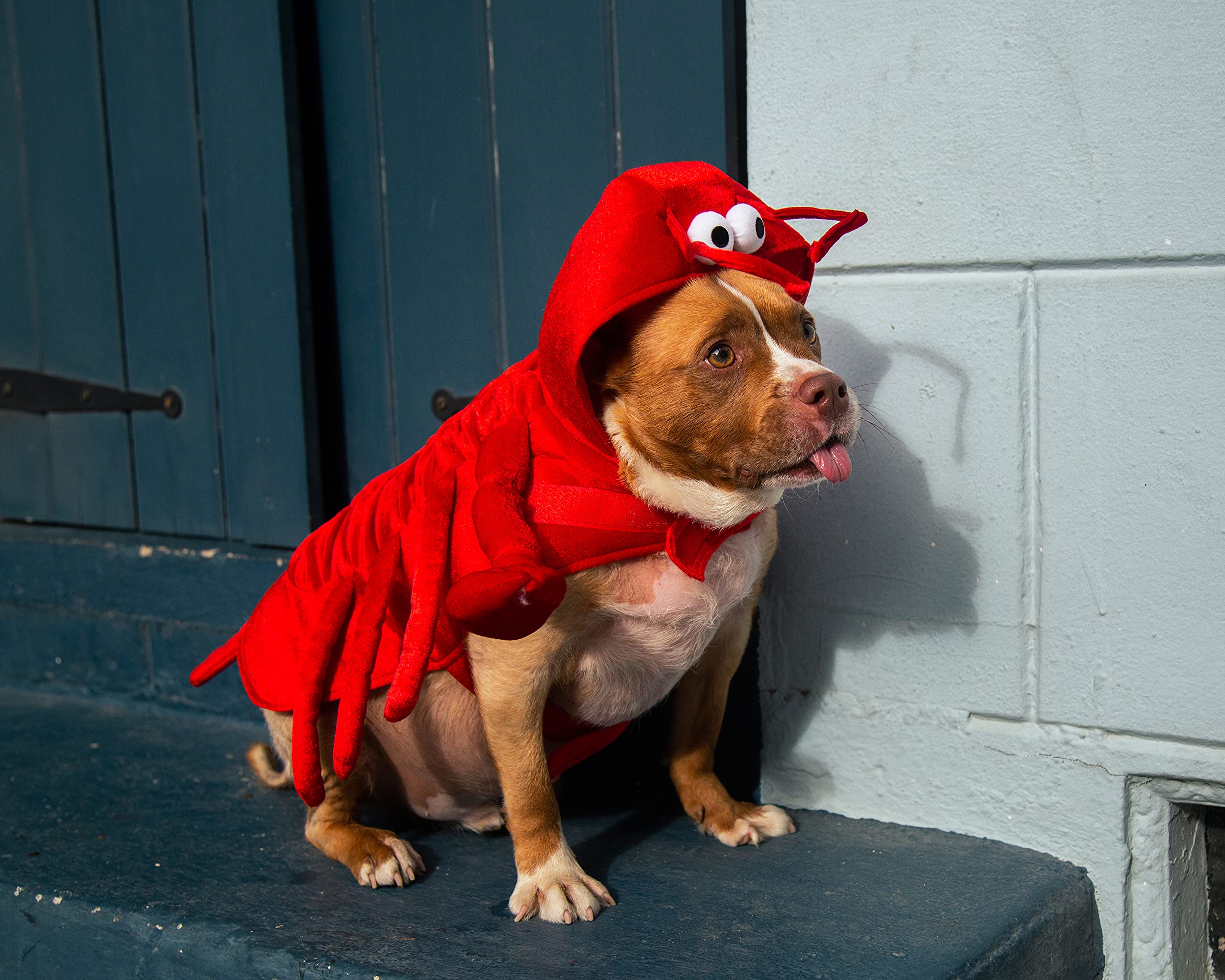 Pet Krewe Dog Lobster Costume | Fish Pet Costume for Dogs 1st Birthday, National Cat Day & Celebrations | Halloween Outfit for Small, Medium, Large & XL Cats & Dogs  - Like New