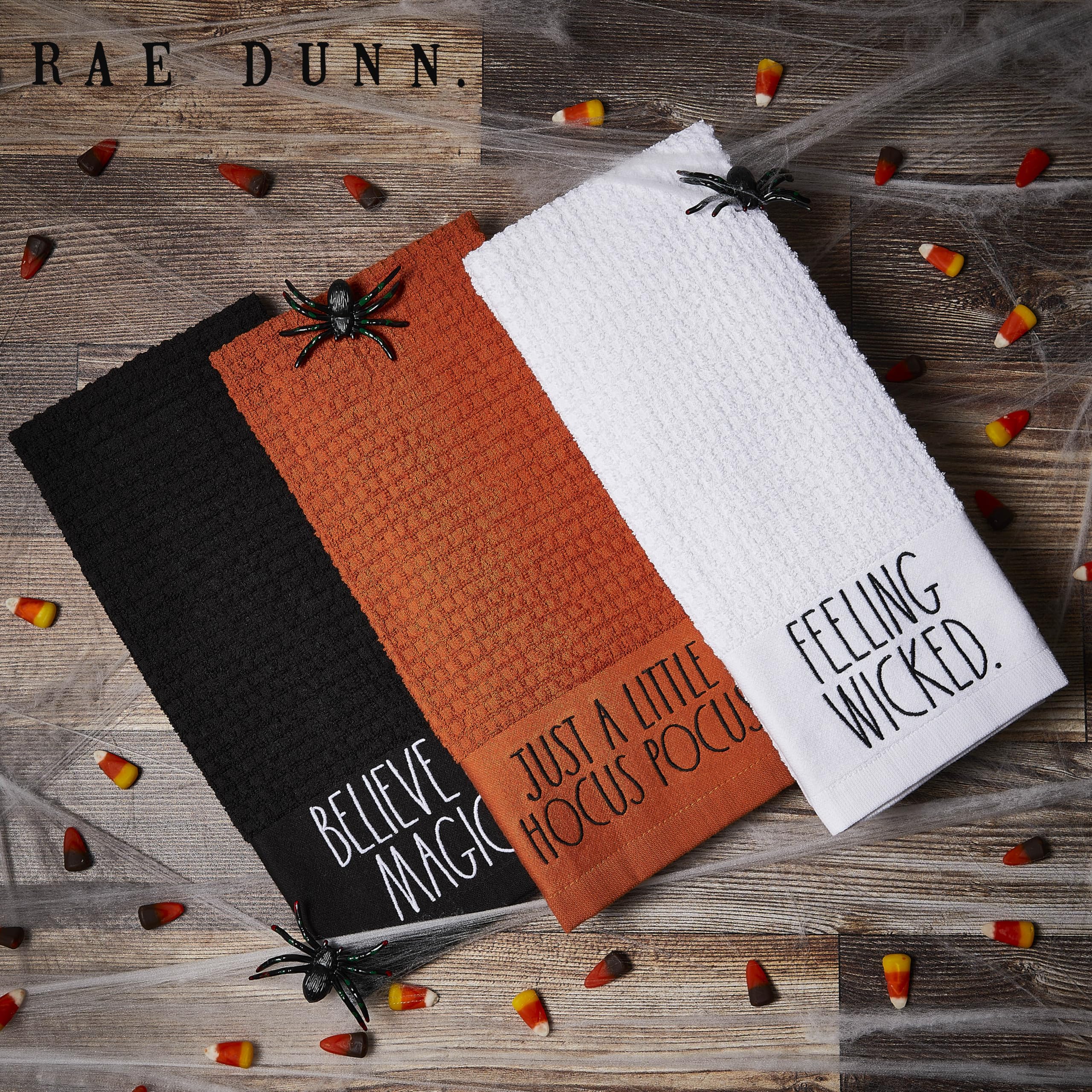 Rae Dunn Set of 2 Hand Towels for Kitchen and Bathroom, 100% Cotton, Embroidered Dish Towels, Decorative Hand Towels  - Like New