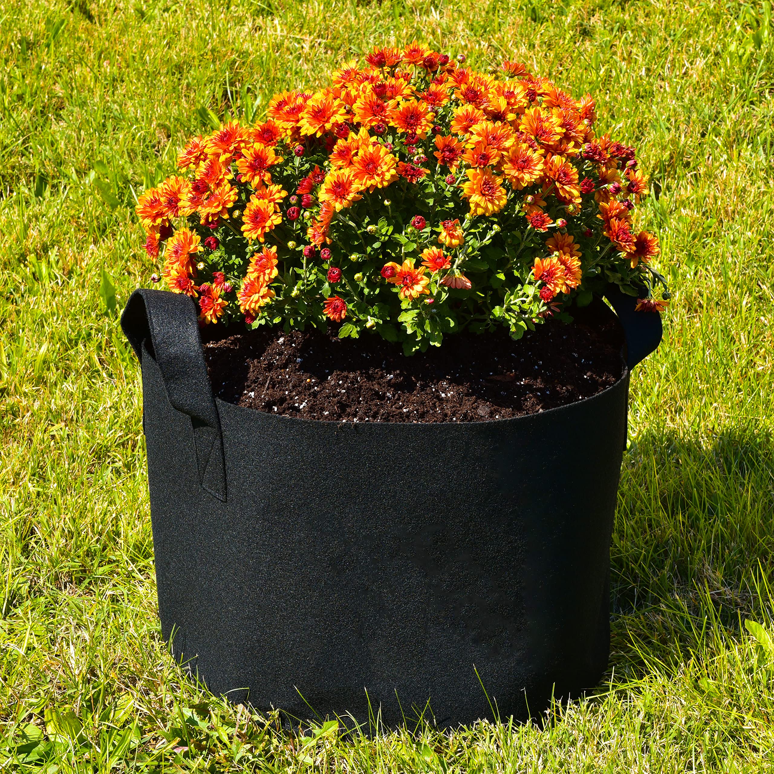 ZENPAC Plant Grow Bags Extra Large Fabric Pot with Handles  - Like New