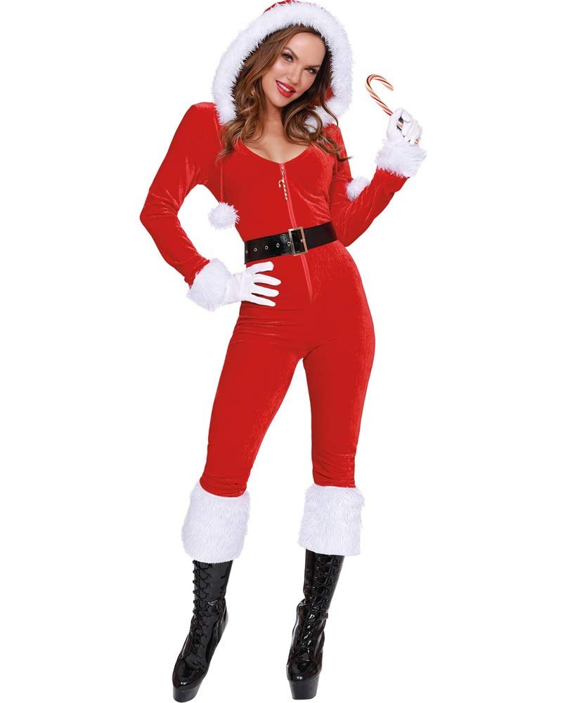 Dreamgirl Women's Ms. Claus, Costume, Extra Small