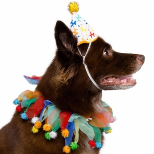 Pet Krewe Dog Clown Costume Happy Birthday Hat & Collar Outfit | 1st Bday Party, National Cat Day, Photo Shoots & Celebrations | Doggie & Puppy Clothes | Ideal Gift for Small, Medium & Large Pets