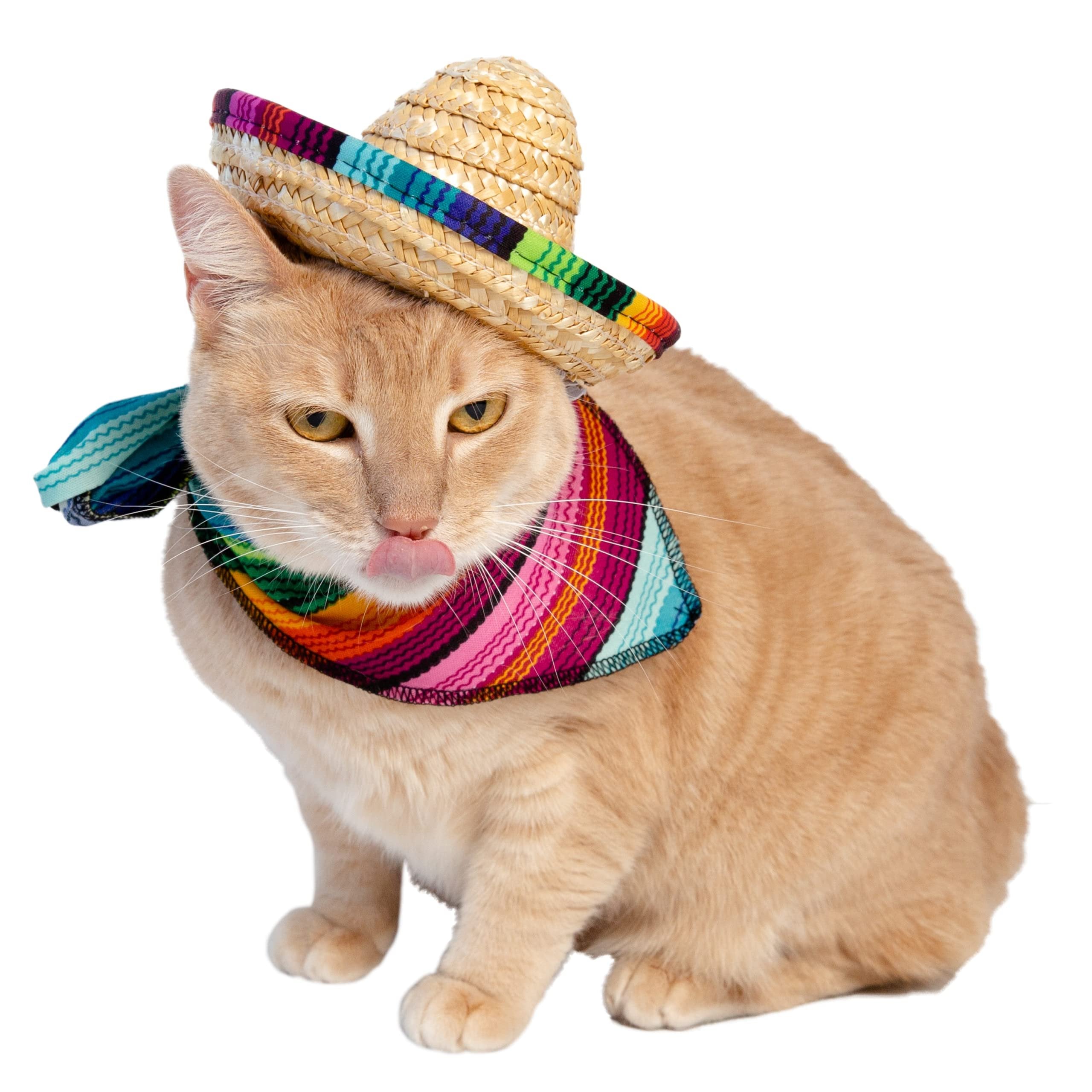 Cinco De Mayo Dog Costume & Cat Costume - 2 Piece Set Mexican Outfit - Mexican Sombrero Hat & Collar - Dog & Cat Sombrero Hat - Dog & Cat Bandana - Mexico Fiesta by Pet Krewe