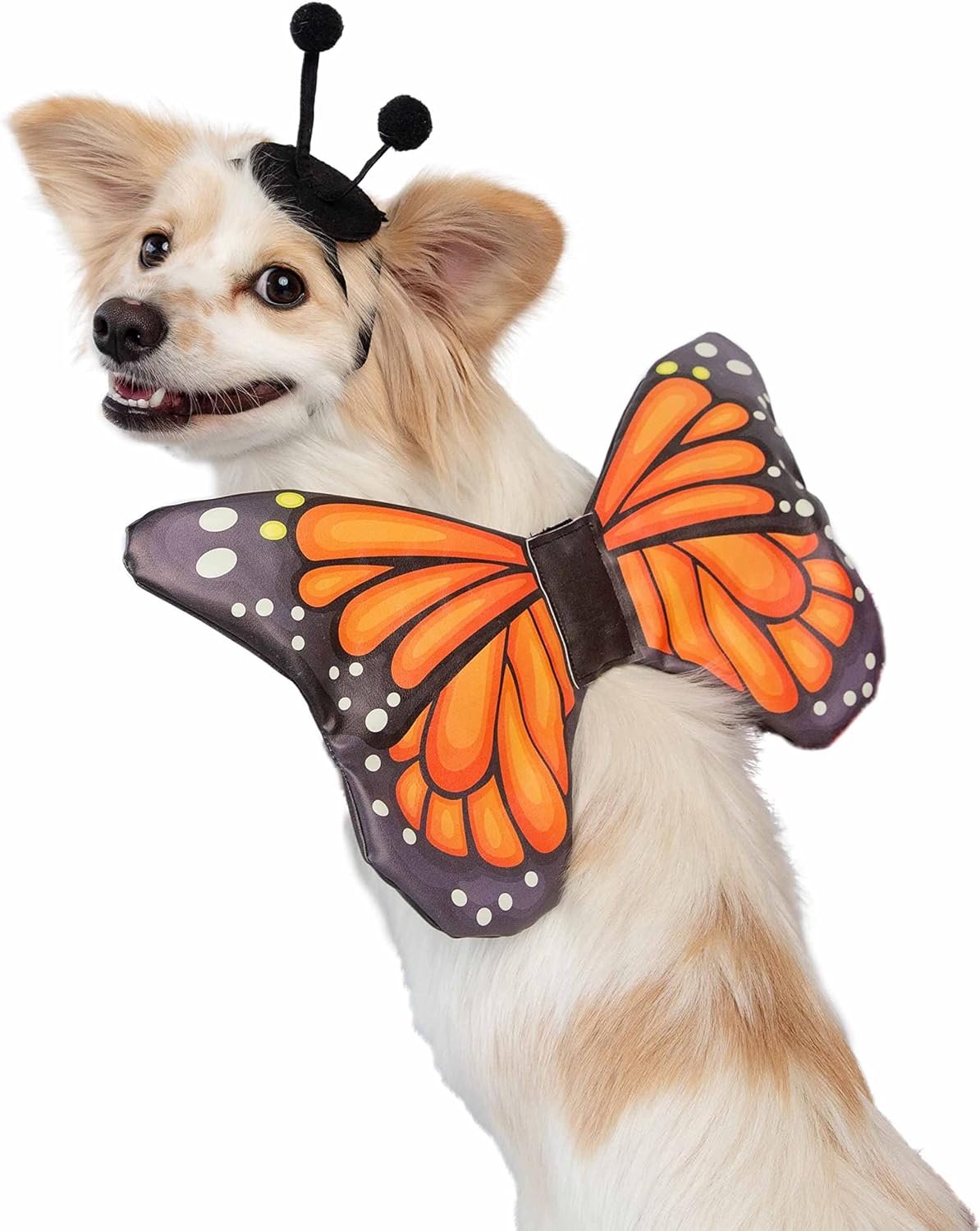 Pet Krewe Butterfly Dog Costume & Cat Costume - Butterfly Wings Costume for Pets - Harness Attachment, One Size Fits All - Perfect for Halloween, Christmas Holiday, Parties,Gifts for Dog & Cat Lovers