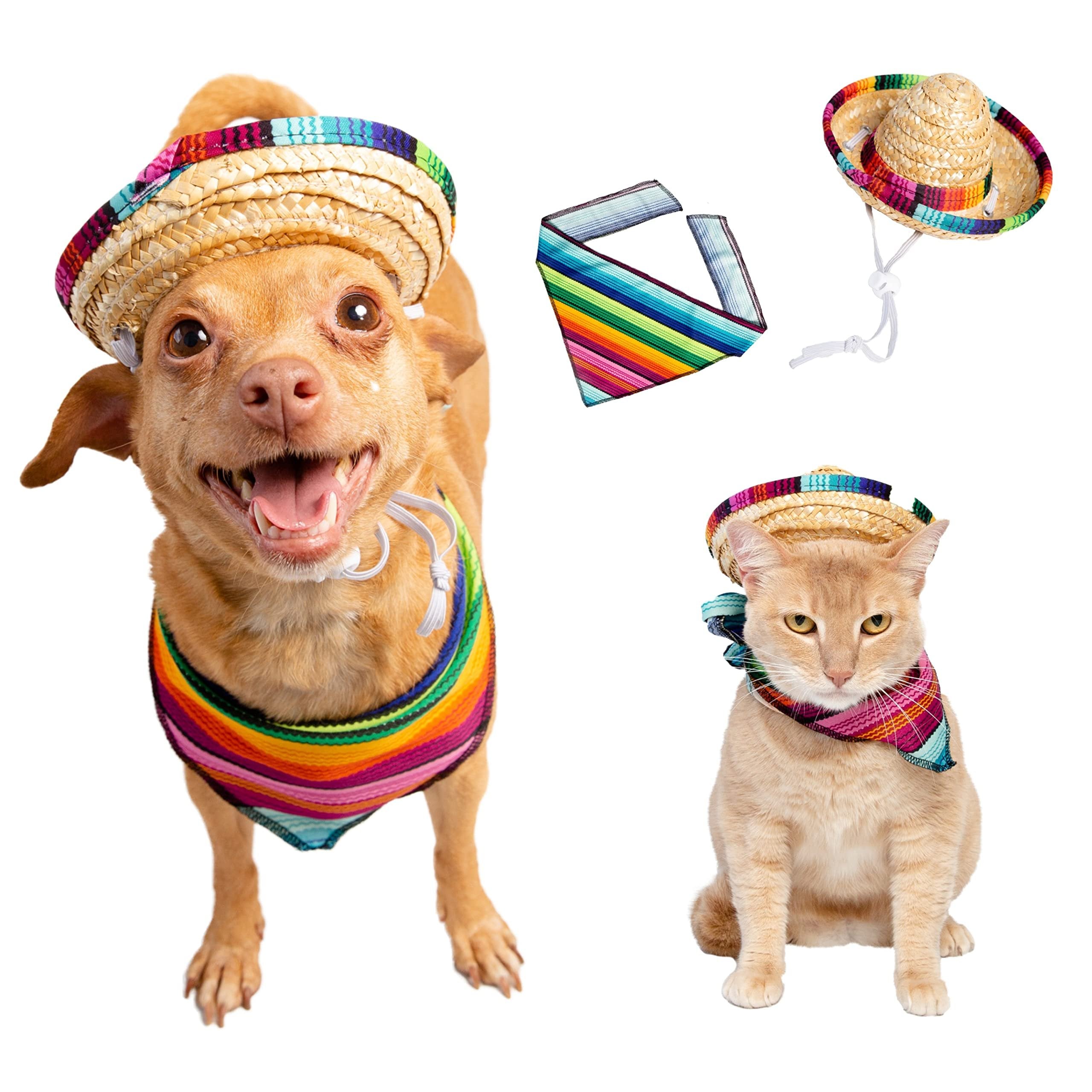 Cinco De Mayo Dog Costume & Cat Costume - 2 Piece Set Mexican Outfit - Mexican Sombrero Hat & Collar - Dog & Cat Sombrero Hat - Dog & Cat Bandana - Mexico Fiesta by Pet Krewe