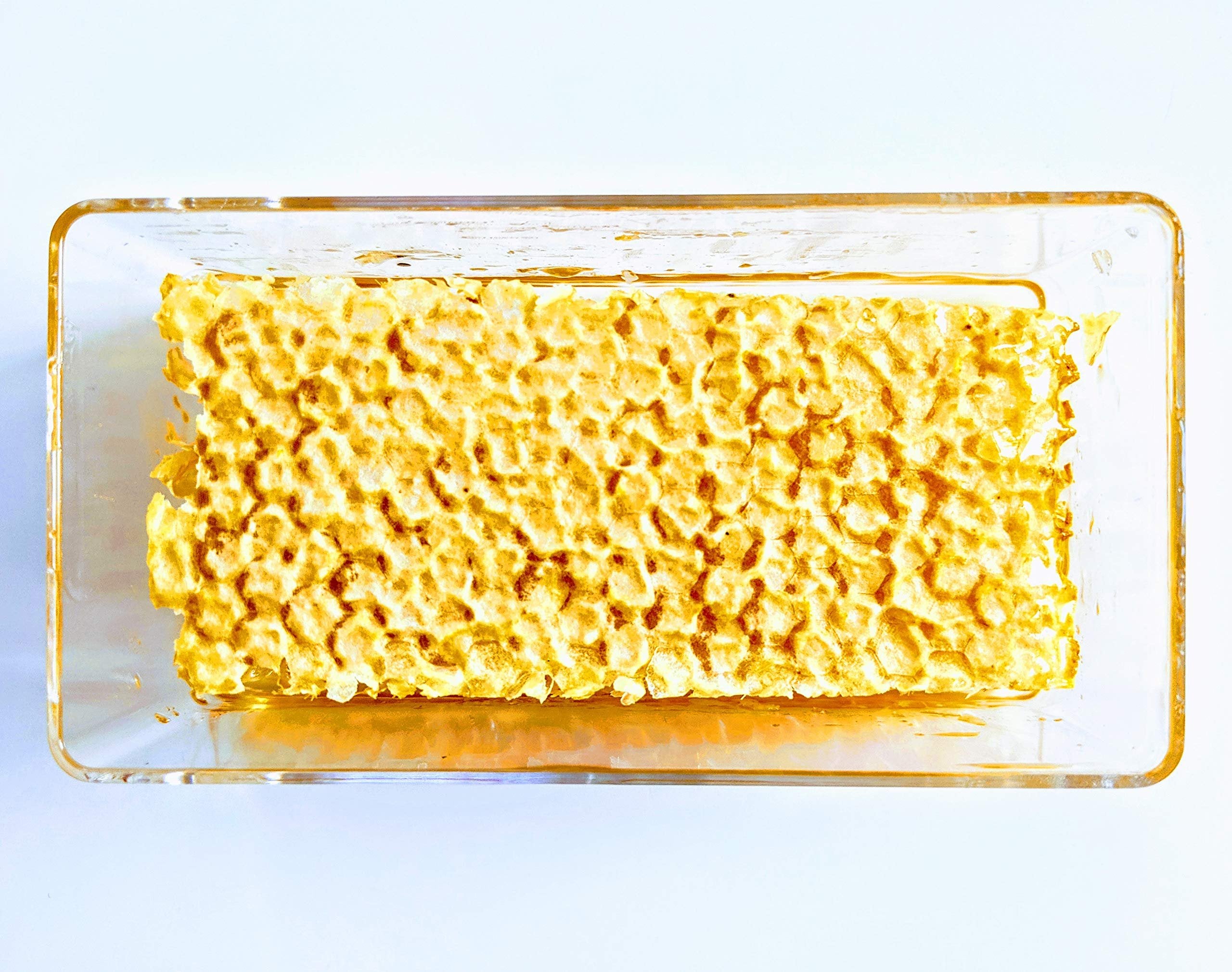 Homestead Raw Honeycomb (7oz), Real American Comb Honey for Eating, Locally Sourced in Wisconsin