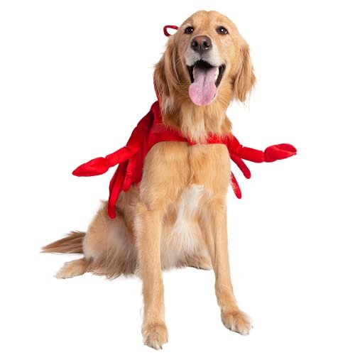 Pet Krewe Dog Lobster Costume | Large Fish Pet Costume for Dogs 1st Birthday, National Cat Day & Celebrations | Halloween Outfit for Small, Medium, Large & XL Cats & Dogs