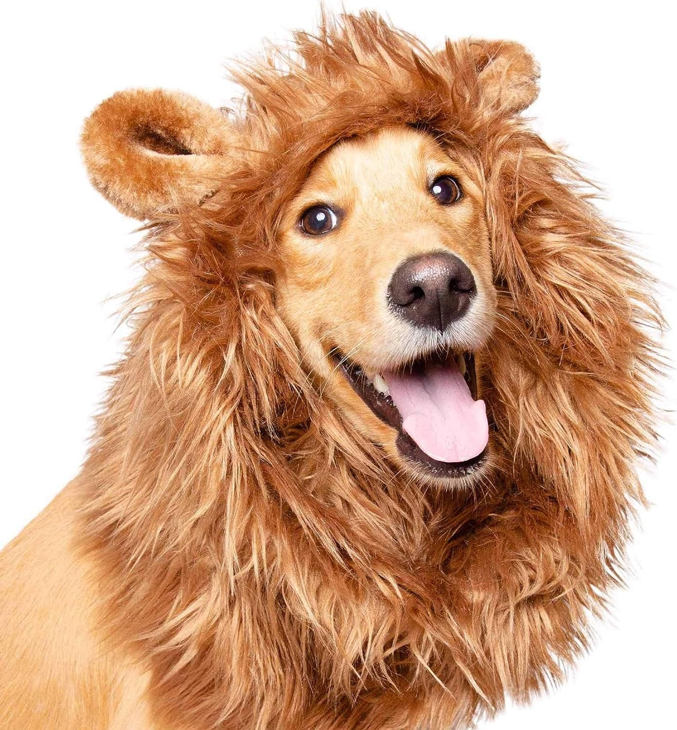 Pet Krewe Large Dog Lion Mane Halloween Costume – Fits Neck Size 13”- 32”- Lion Mane for Small Dogs – Ideal for Halloween, Dog Birthday, Dog Cosplay, Dog Outfits, Pet Clothes