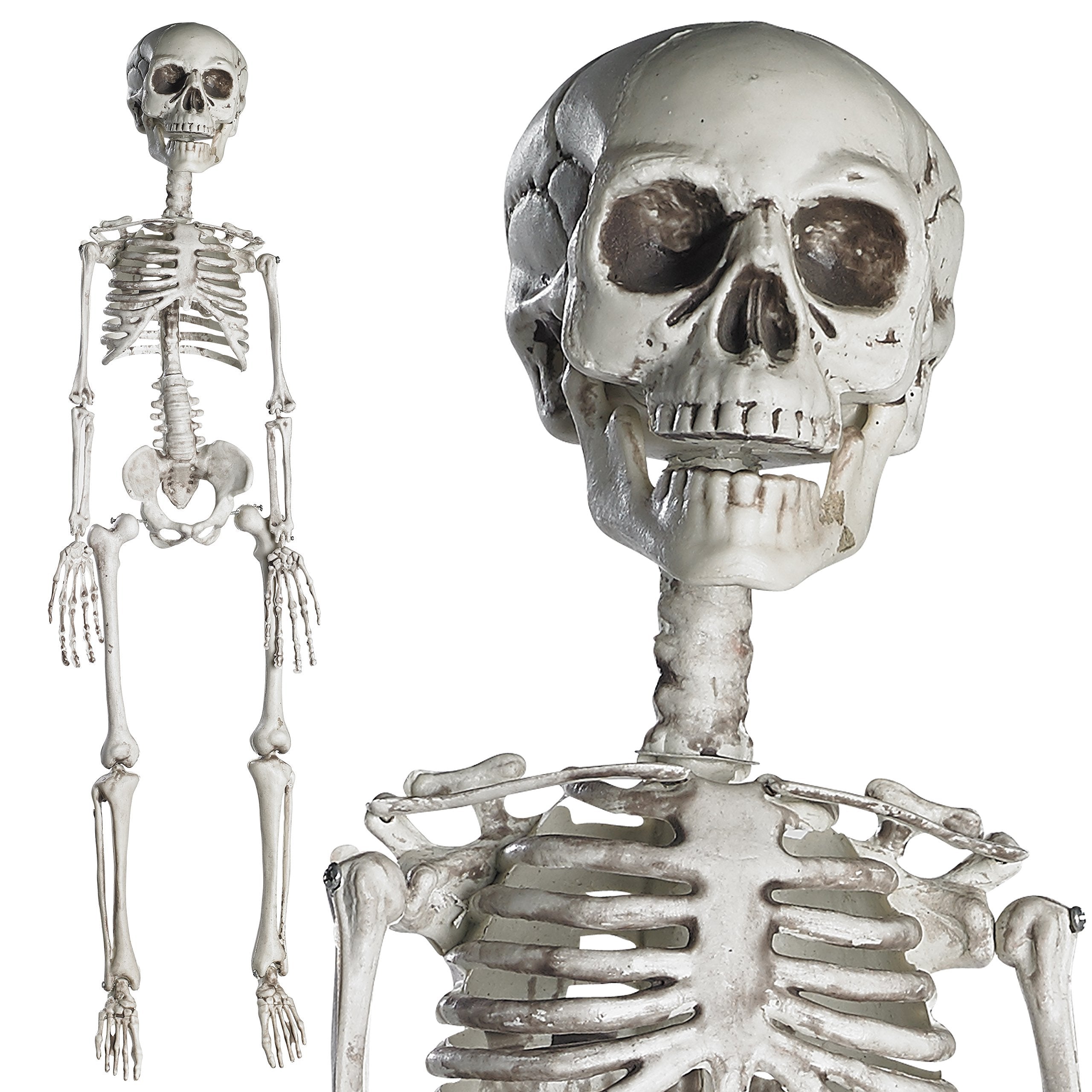 PREXTEX 30” Halloween Skeleton for Halloween Décor & Day of The Dead Décor - 2.5 ft Full Size Halloween Plastic Skeleton with Movable Joints for Best Halloween Skeletons Decoration - Indoor & Outdoor