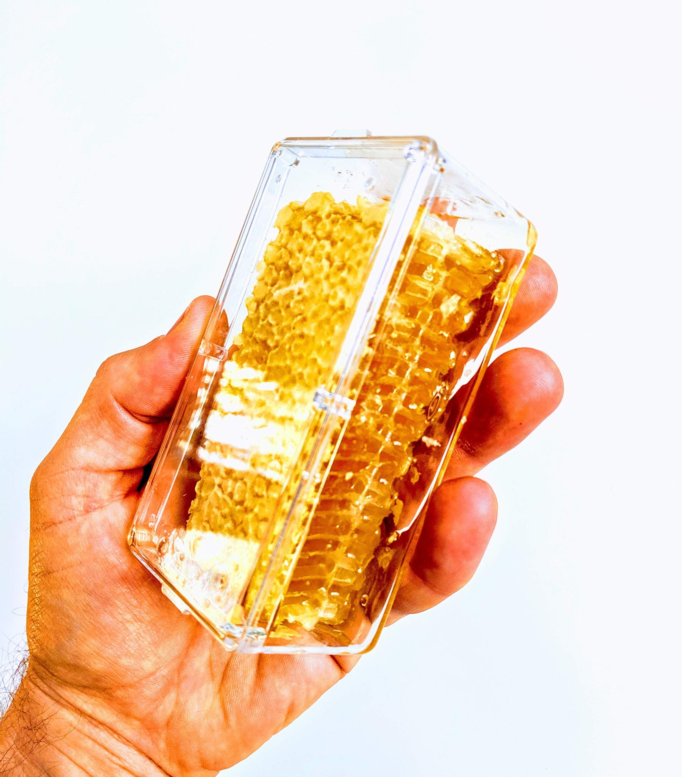 Homestead Raw Honeycomb (7oz), Real American Comb Honey for Eating, Locally Sourced in Wisconsin