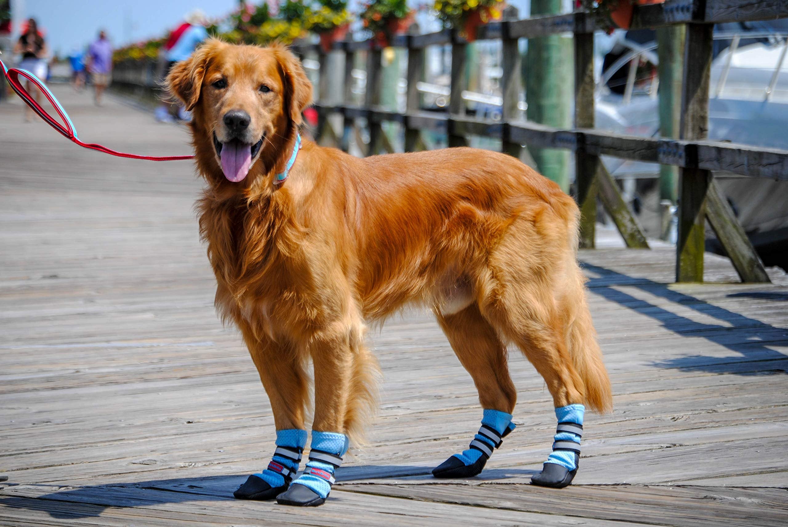 Bark Brite Lightweight Neoprene Paw Protector Dog Boots Designed for Comfort and Breathability in 5 Sizes (Blue XL)