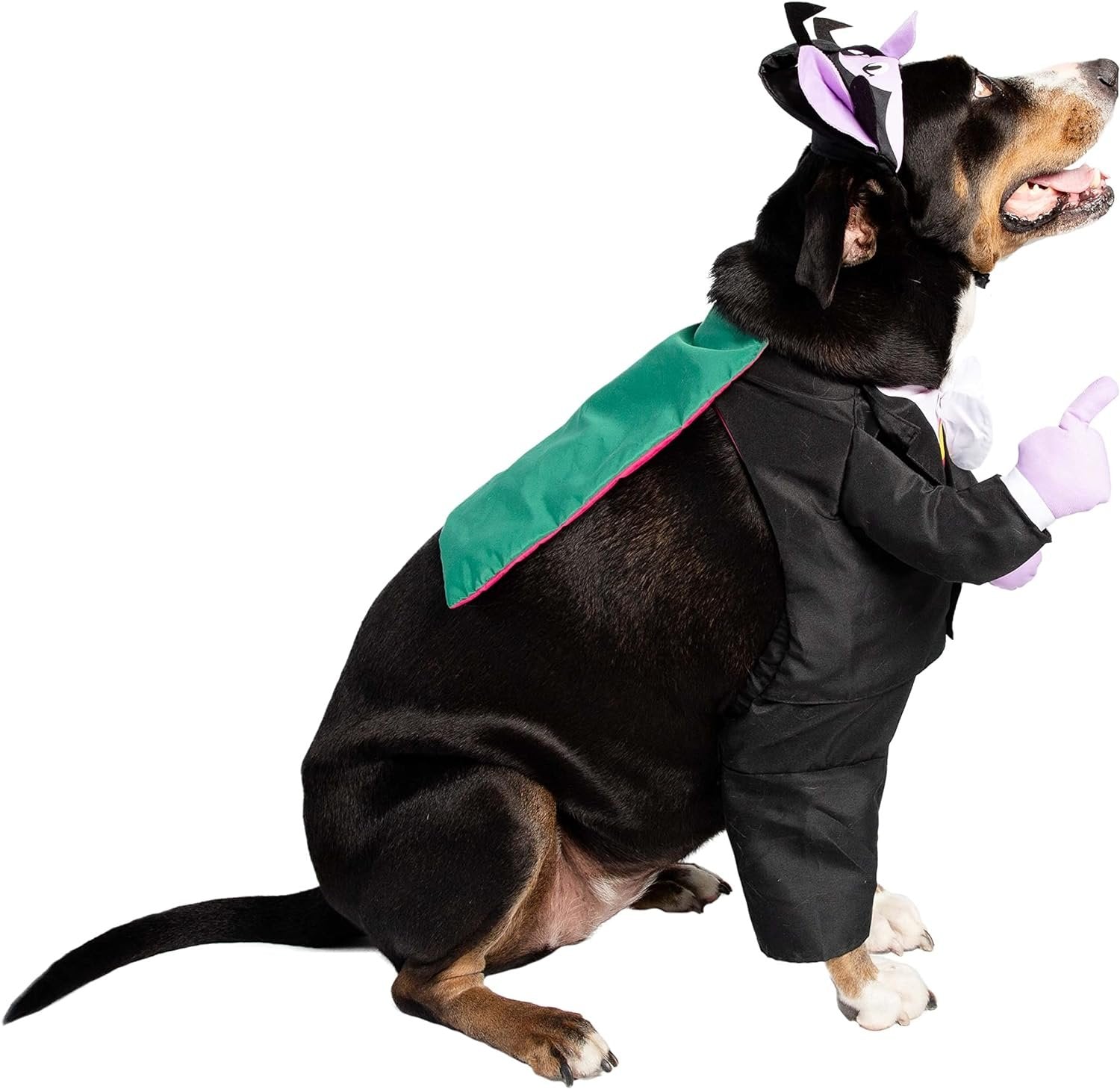 Pet Krewe The Count Vampire Dog Costume & Cat Costume Medium Size | Sesame Street Dracula Monster Pet Costumes for Dogs and Cats | Perfect for Halloween, Birthdays, Parties, Photoshoots