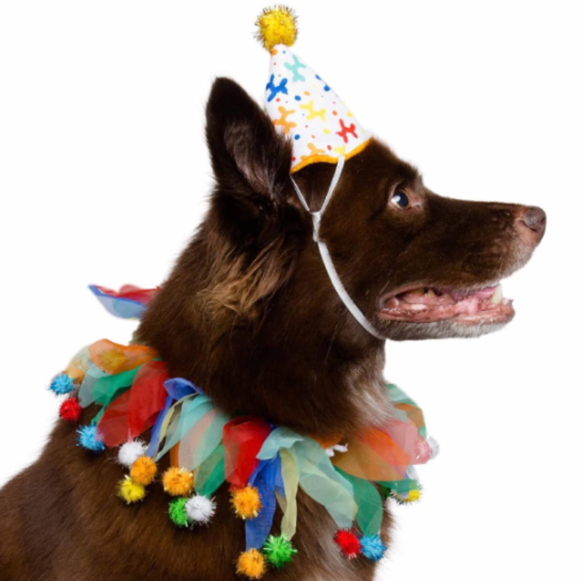 Pet Krewe Dog Clown Costume Happy Birthday Hat & Collar Outfit | 1st Bday Party, National Cat Day, Photo Shoots & Celebrations | Doggie & Puppy Clothes | Ideal Gift for Small, Medium & Large Pets