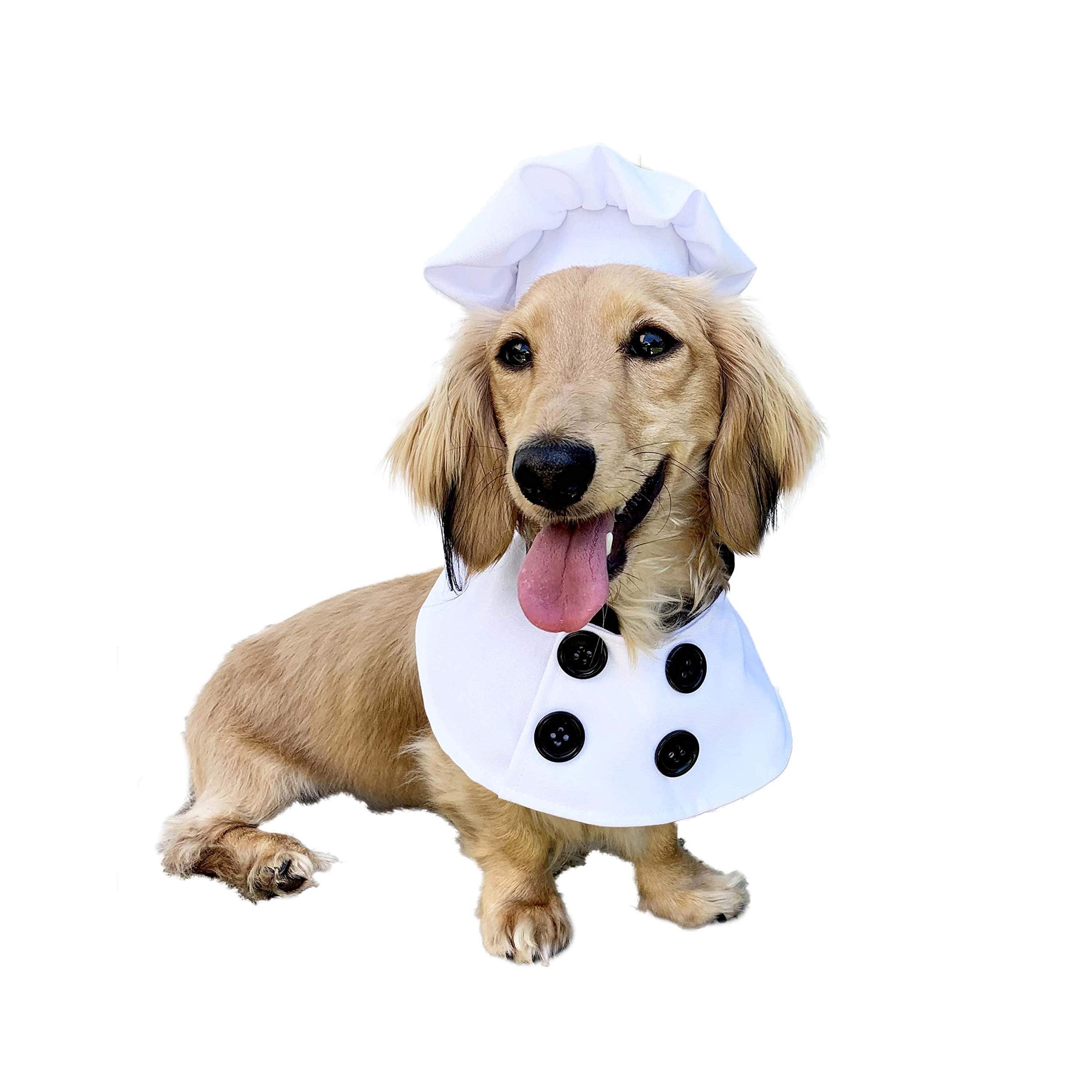 Pet Krewe Chef Uniform Dog Costume Fits Dogs Size Small, Medium, Large or Extra Large - Perfect for Halloween, Parties, Photoshoots, Gifts for Dog Lovers (S)