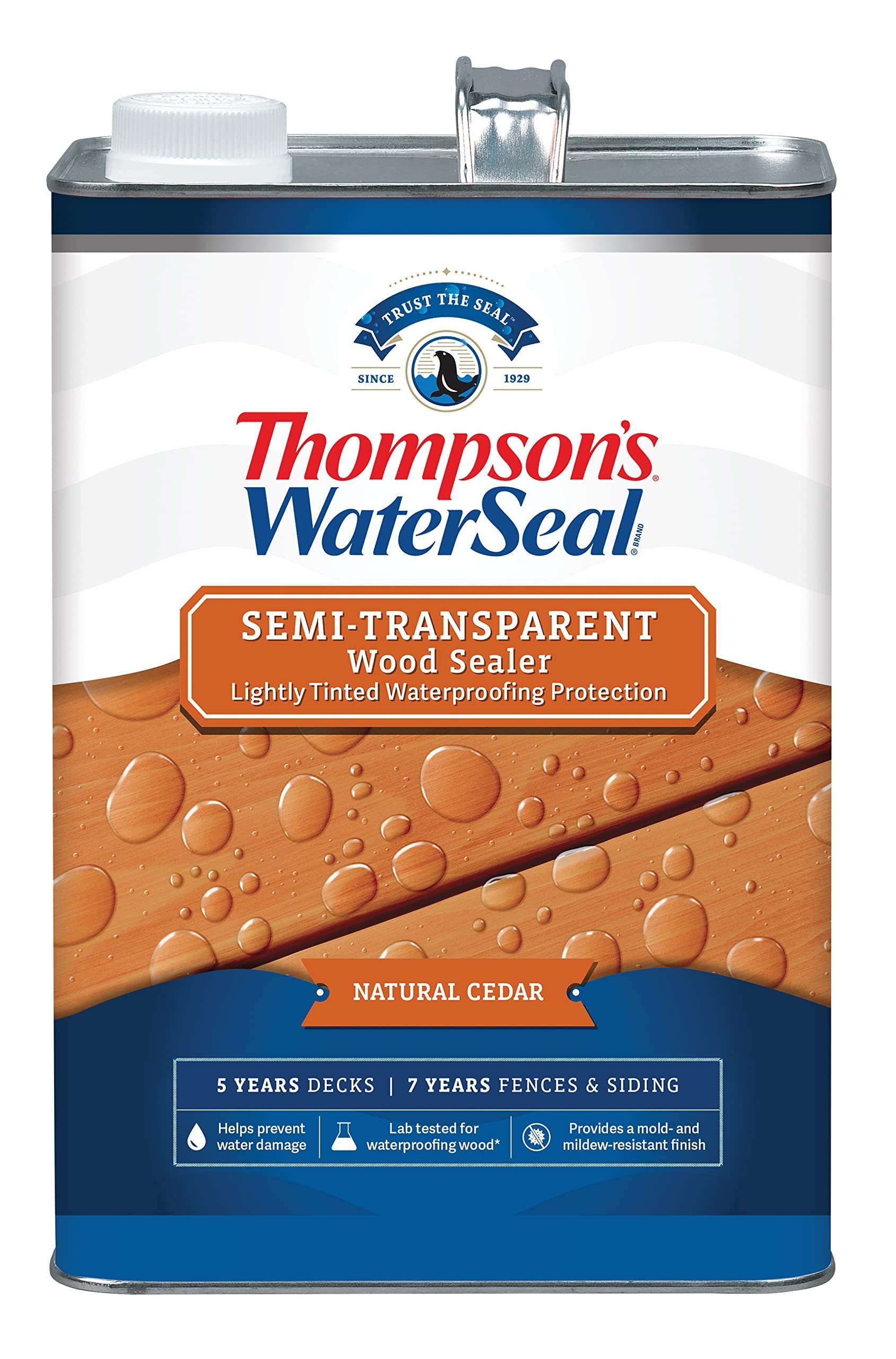 Thompson’s WaterSeal Semi-Transparent Waterproofing Wood Stain and Sealer, Natural Cedar, 1 Gallon