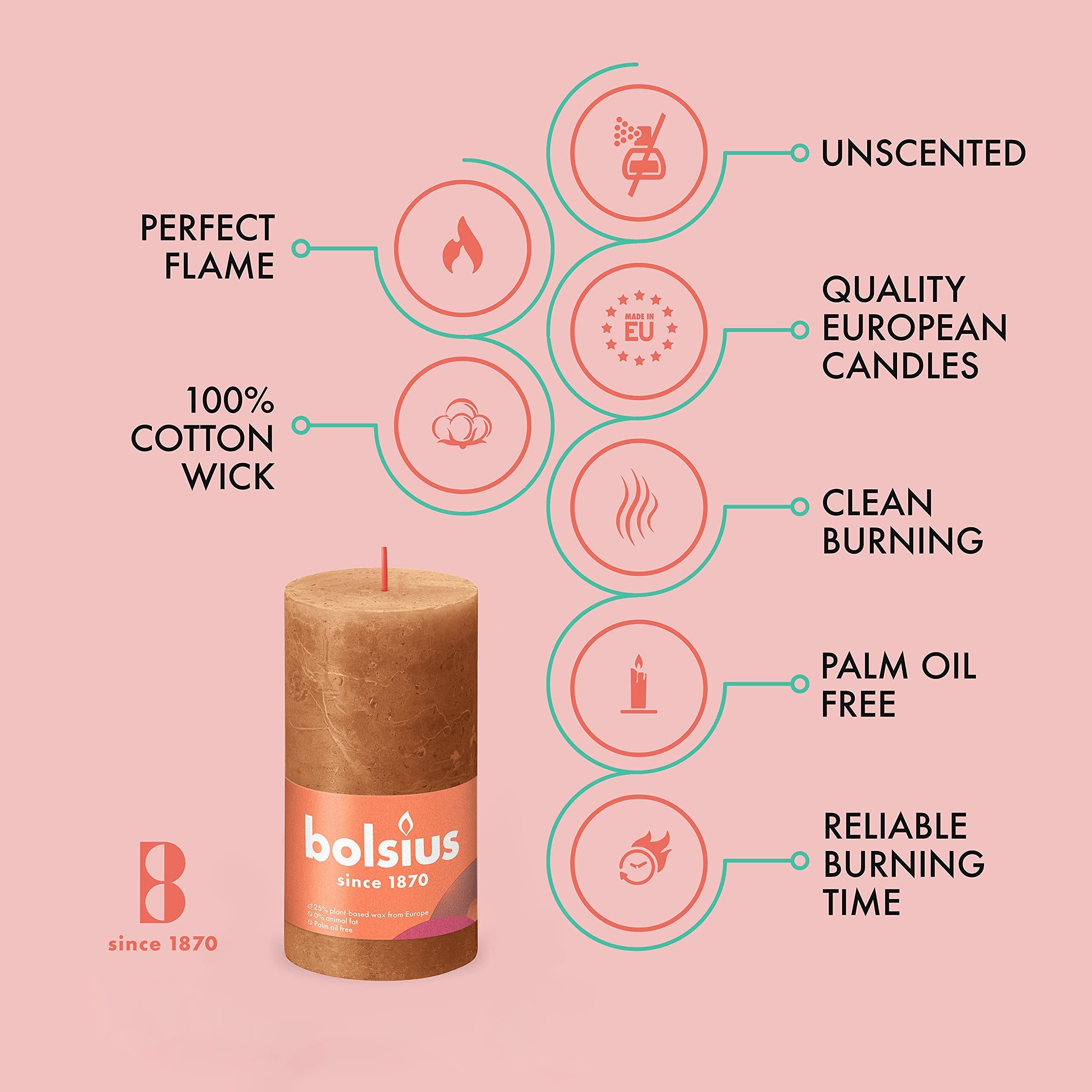 BOLSIUS 4 Pack Spice Brown Rustic Pillar Candles - 2.75 X 5 Inches - Premium European Quality - Includes Natural Plant-Based Wax - Unscented Dripless Smokeless 60 Hour Party and Wedding Candles