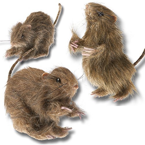 Prextex Realistic Furry Fake Rats for Best Halloween Decoration: Hallo