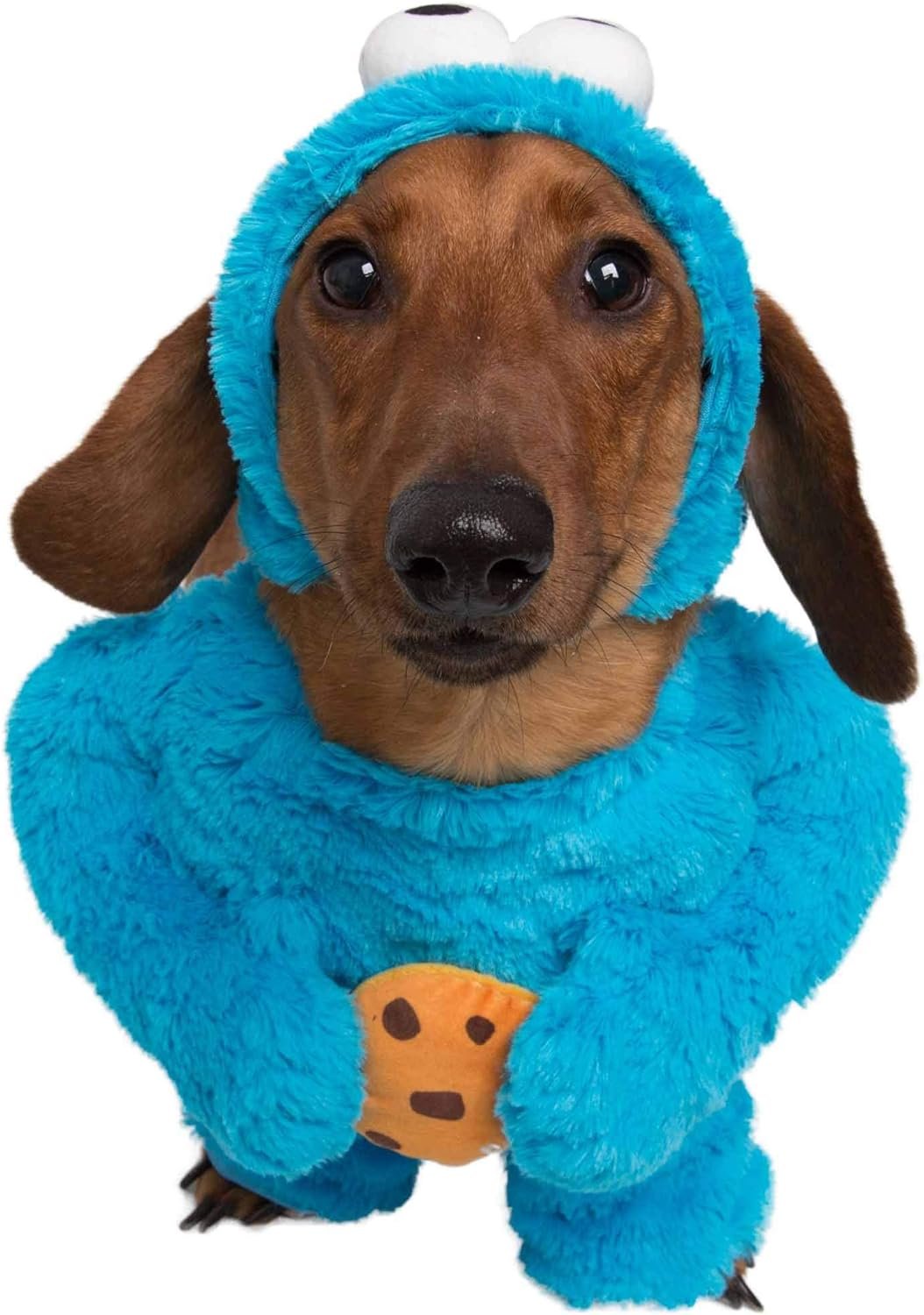 Pet Krewe Unleash The Parade Cookie Monster Dog Costume Sesame Street Pet Costumes for Medium Dogs or Cat Outfit - Perfect for Halloween, Christmas Holiday, Parties, Photoshoots, Gifts for Dog Lovers