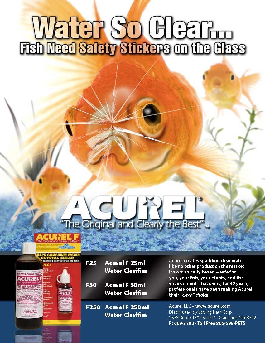 Acurel F Aquarium Clarifier (50ml, Pack of 4)4