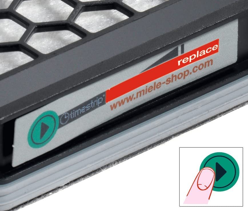 Miele Black Active AirClean Filter for Vacuum Cleaners - Size Sf-aac50 - Free Shipping & Returns