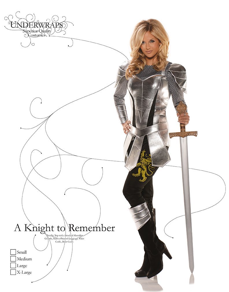 UNDERWRAPS Women's Medieval Renaissance Knight Costume - A Knight to Remember