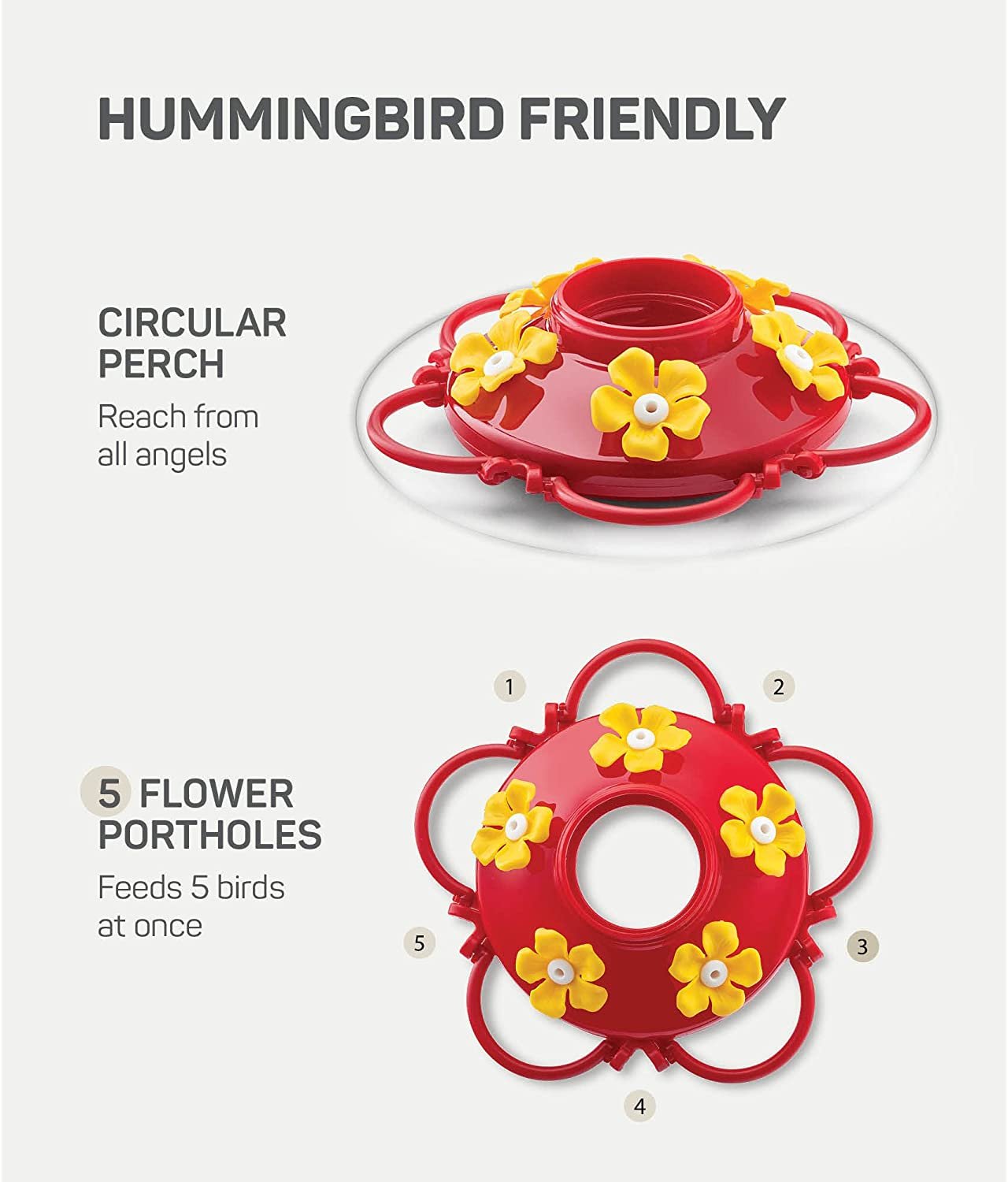 Red Glass Hummingbird Feeders - 10 oz (Set of 2) with Ant Guard, 5 Ports, Easy Fill/ Clean