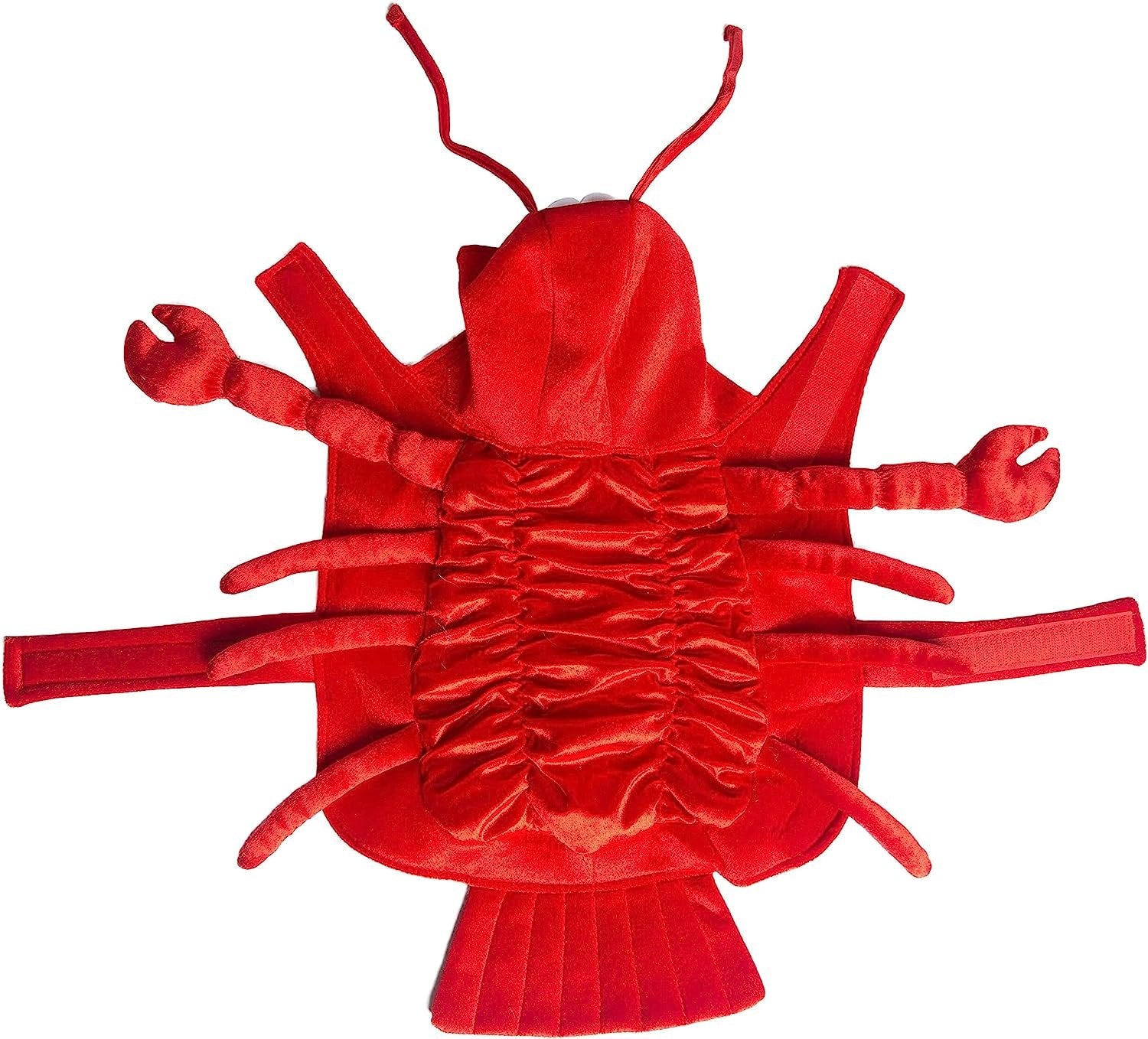 Pet Krewe Dog Lobster Costume | Medium Fish Pet Costume for Dogs 1st Birthday, National Cat Day & Celebrations | Halloween Outfit for Small, Medium, Large & XL Cats & Dogs