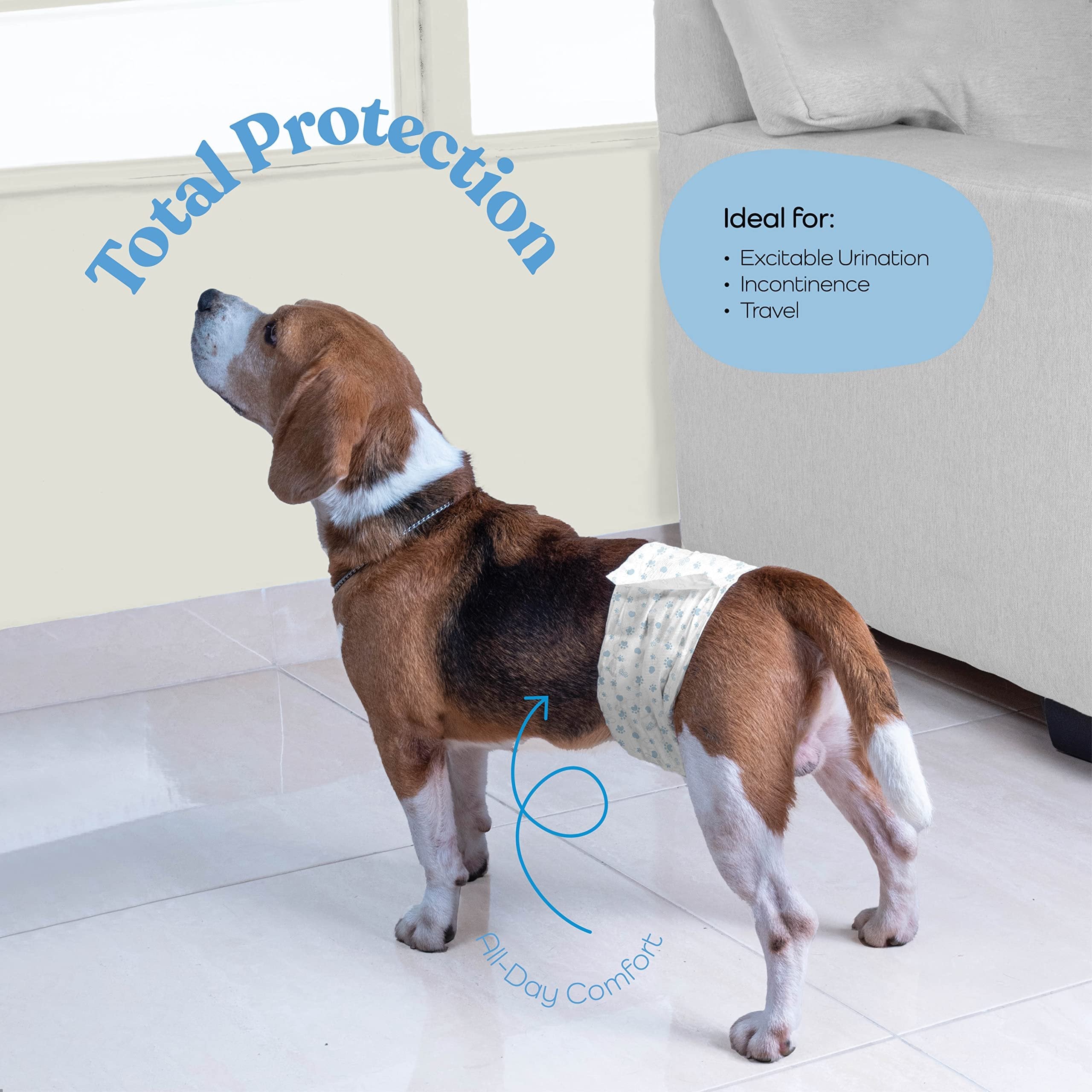 Pitpet Male Dog Diapers - 24-Pack Medium White Disposable Wraps - Super Absorbent with FlashDry Gel Technology & Wetness Indicator - Leakproof Belly Wraps for Incontinence & Excitable Urination