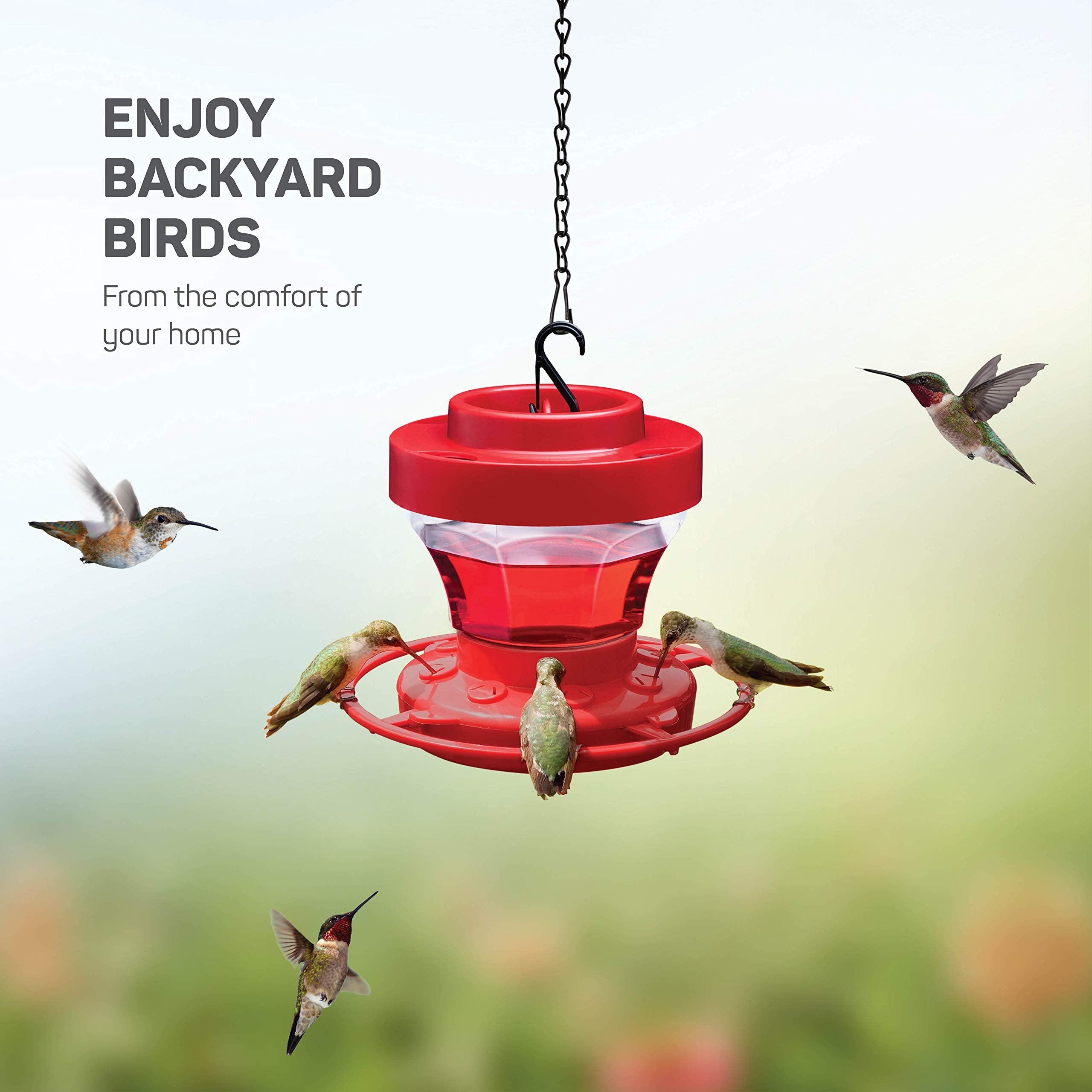 SEWANTA Hummingbird Feeder 16 oz [Set of 2] Plastic Hummingbird Feeders for Outdoors With Ant Guard - Circular Perch With 8 Feeding Ports - Wide Mouth for Easy Filling/2 Part Base for Easy Cleaning