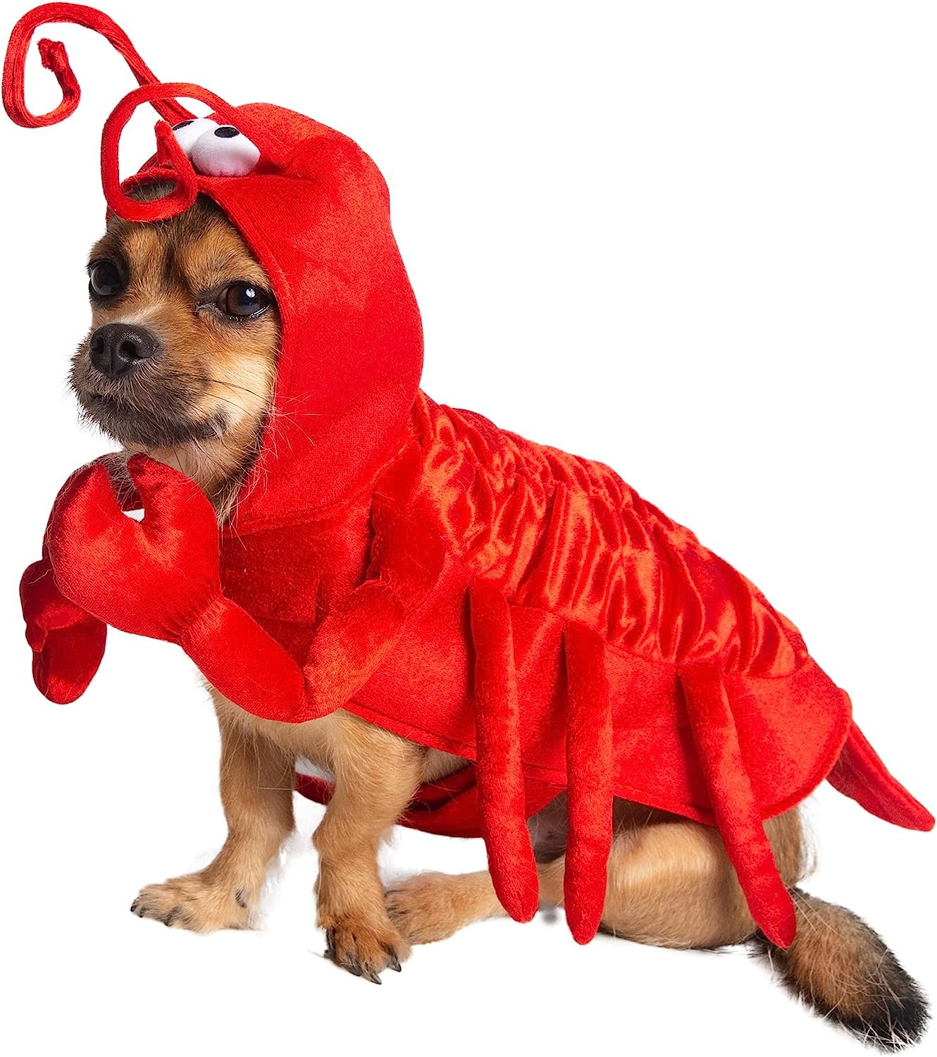Pet Krewe Dog Lobster Costume | Medium Fish Pet Costume for Dogs 1st Birthday, National Cat Day & Celebrations | Halloween Outfit for Small, Medium, Large & XL Cats & Dogs