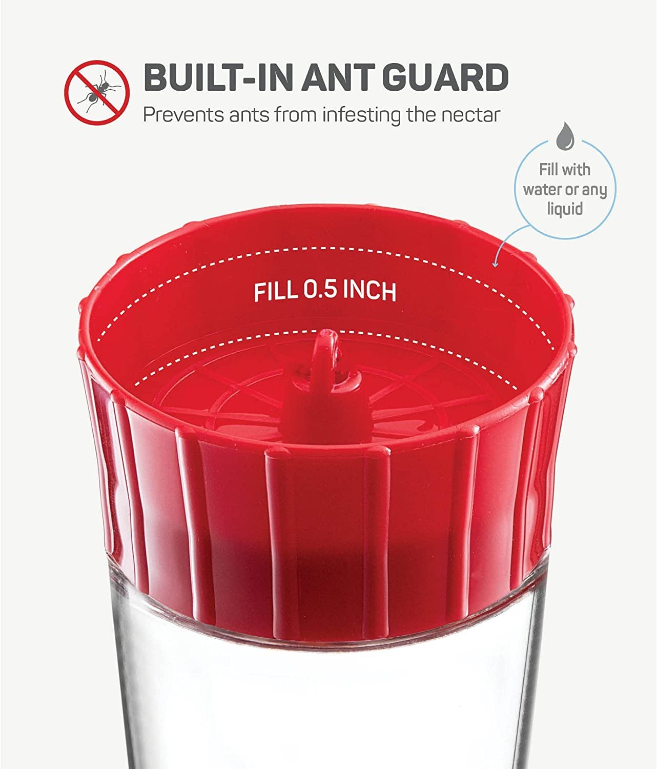 Red Glass Hummingbird Feeders - 10 oz (Set of 2) with Ant Guard, 5 Ports, Easy Fill/ Clean